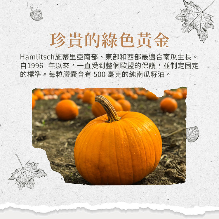 【聖伯納德】南瓜籽油膠囊(400粒/入) 德國百年草本