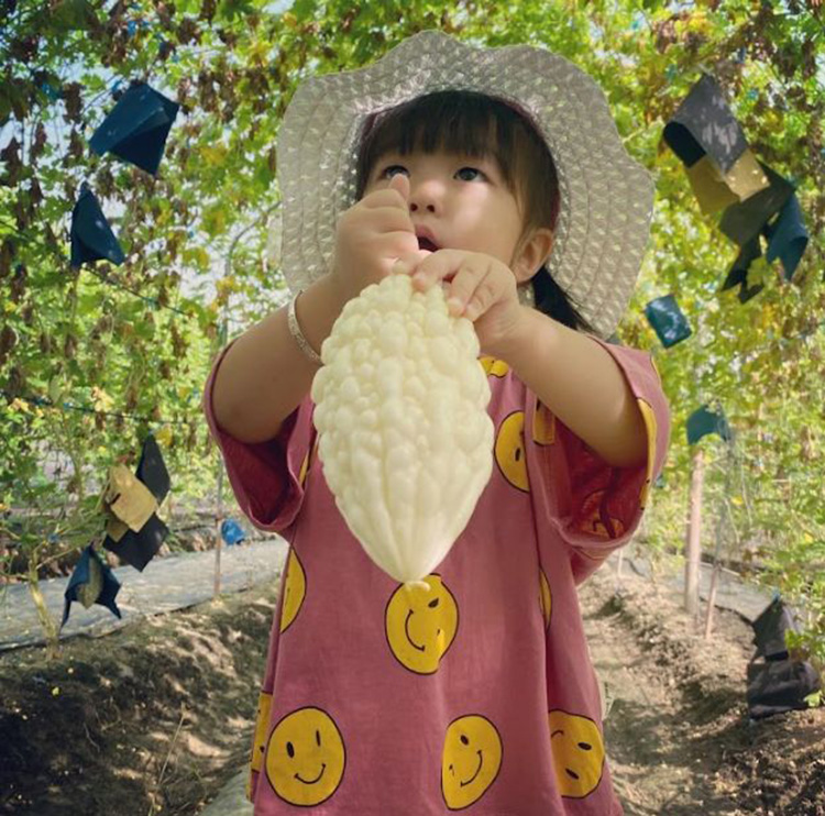 【宏展農場】白玉苦瓜酥(鹽味／胡椒／芥末)80g 苦瓜脆片 苦瓜餅乾 蔬菜餅乾