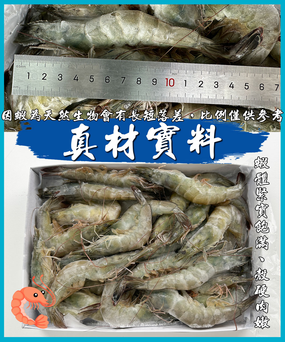 【鮮綠生活】活凍白蝦蝦王爺(600克 每盒約20至23尾)