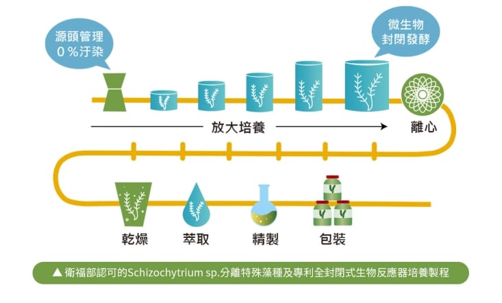 【Dr.future 長泰】HPCVA紅型微藻膠囊(30顆/盒) 素食界魚油