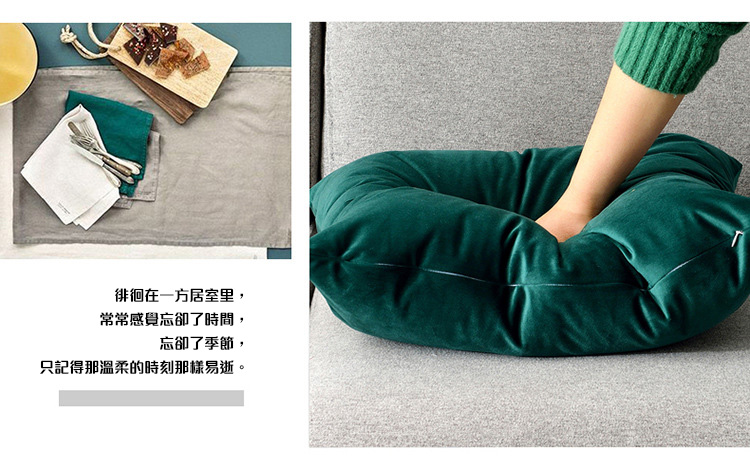 北歐絲絨刺繡印花抱枕