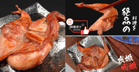 經典班甲 斑鳩 鵪鶉