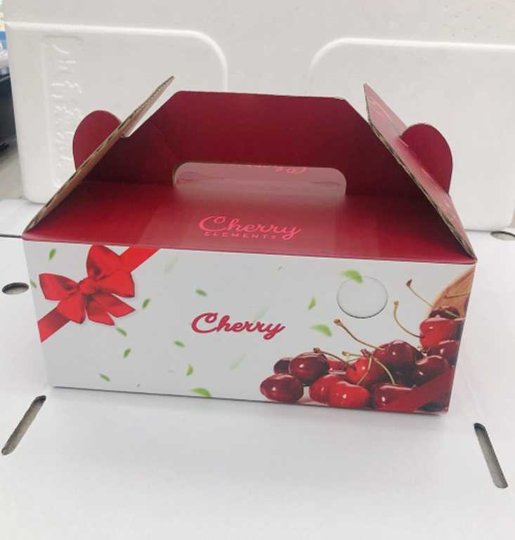 【果之蔬】智利空運鮮採9.5R櫻桃禮盒