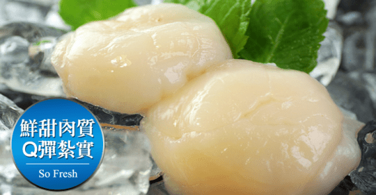 日本生食級干貝100g