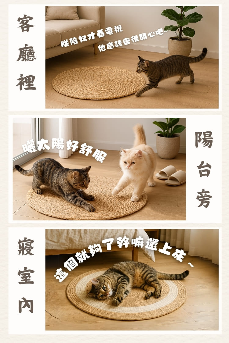 貓貓召喚墊
