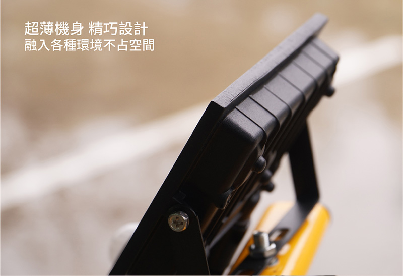 【太星電工】LED感應投射燈(全電壓) 30W-100W 感應燈 照明燈