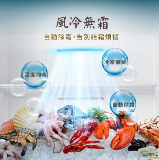 【HERAN 禾聯】500L 自動除霜直立式冷凍櫃(HFZ-B5011F)
