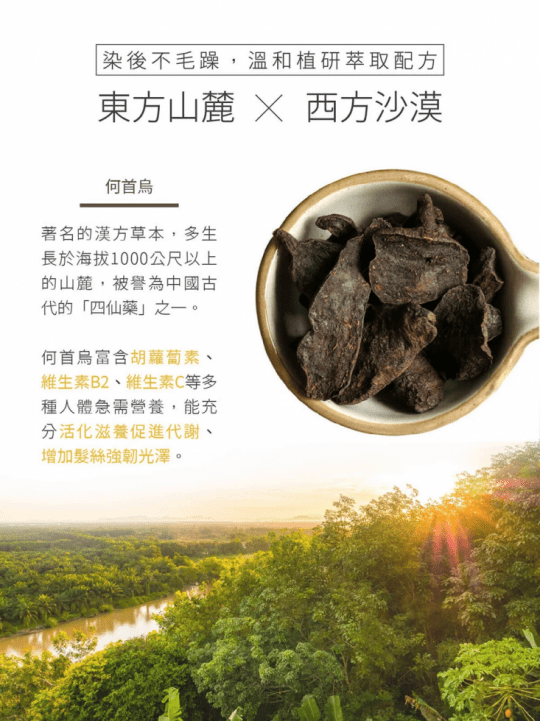 【KAFEN 卡氛】SA LA HEI YO何首烏染護洗髮精系列 400ml