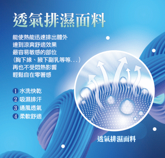 輕透定脂無鋼圈無痕內衣 輕透定脂無鋼圈無痕內衣