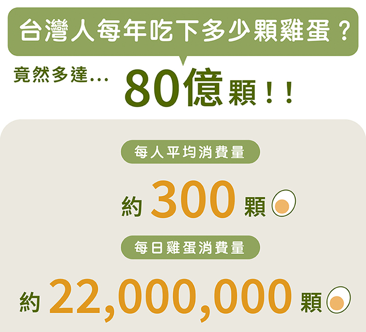 【kokomo】快可瀝美食煮蛋鍋 快煮鍋 電火鍋(KO-GP2332)