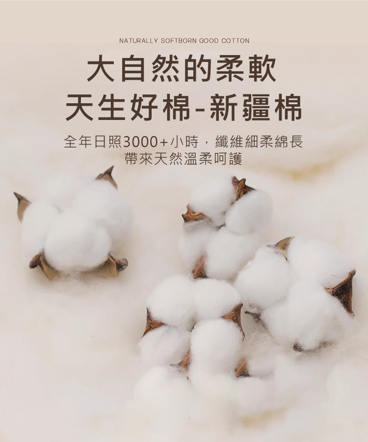 軟糯舒適親膚少女內褲 M-XL