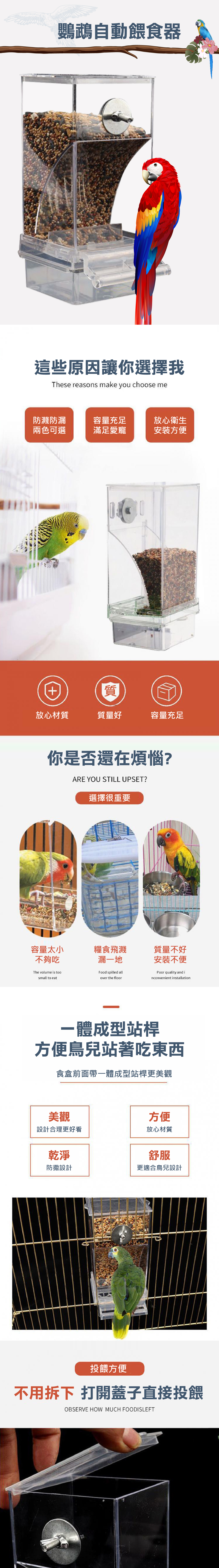 小鳥鸚鵡方便自動餵食器