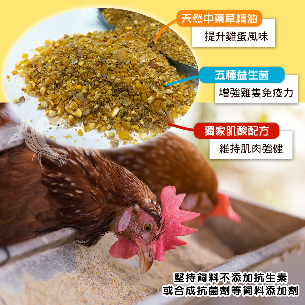 【鈞安牧場】專利配方鎂力機能蛋_紅殼蛋 24顆/箱