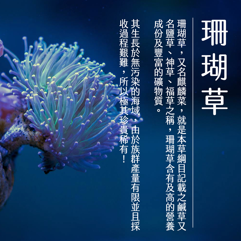 【SF】寒天桂圓紅棗珊瑚草海燕窩300gX6入(養顏美容聖品簡單料理)