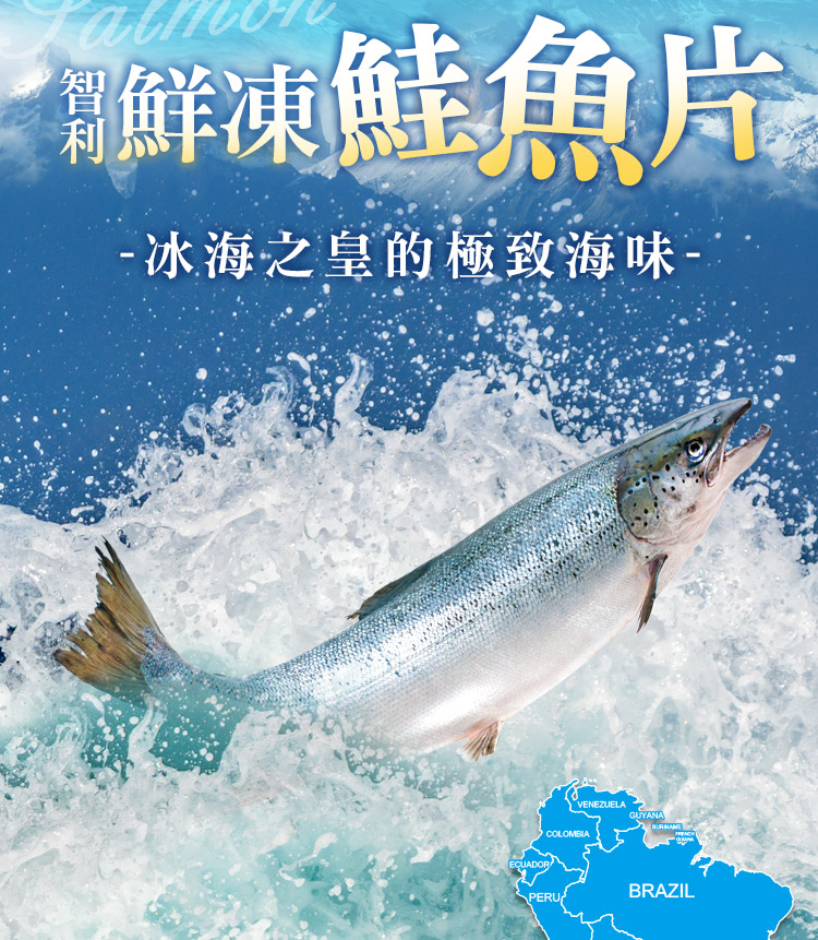 【享吃海鮮】鮮凍智利鮭魚250g(2片裝)