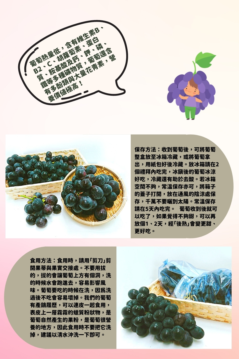 【阿成水果】彰化大村巨峰葡萄2.5kg 紫葡萄 葡萄禮盒 水果禮盒