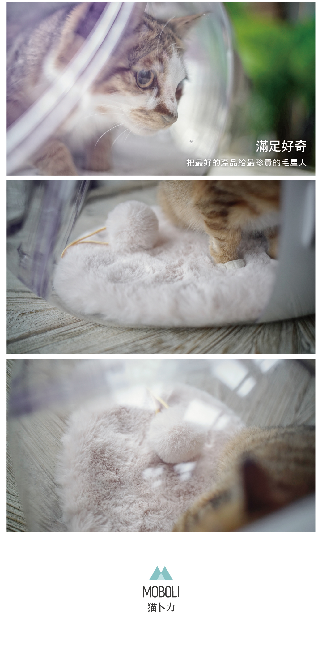 ｜Moboli 貓卜力｜  寵物絨墊 冬季小絨墊 3色 寵物毯 睡墊 保暖絨毛墊