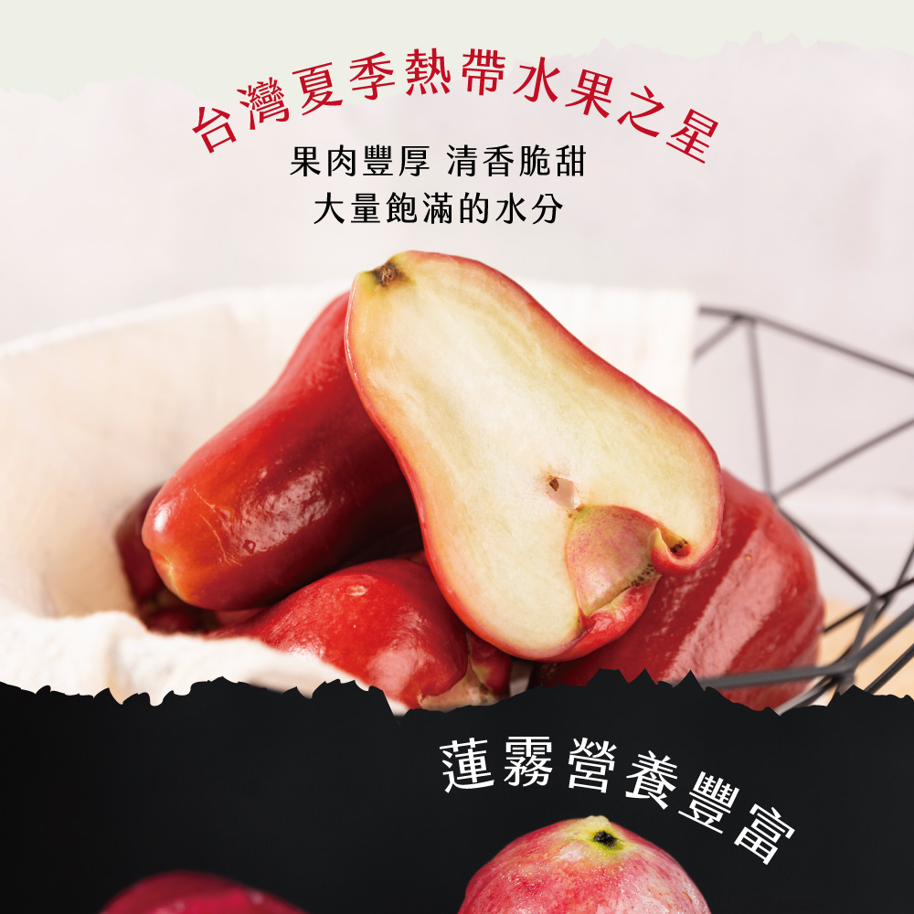 【初品果】高雄六龜子彈蓮霧2斤/4斤禮盒