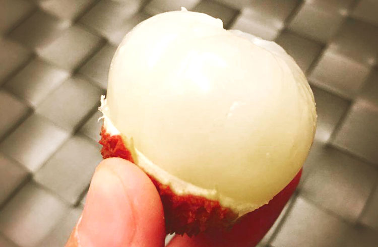 【台灣紅】屏東恆春超小籽爆漿玉荷包荔枝(4斤/盒) 水果禮盒 荔枝禮盒