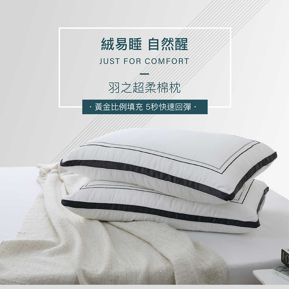 【BEST】羽之超柔棉水洗枕頭 贈防潑水抗菌枕套