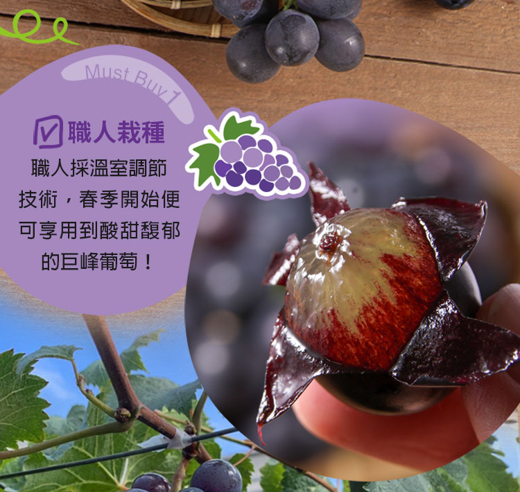 【享吃鮮果】鮮採優鮮巨峰葡萄1200g(一箱2盒)