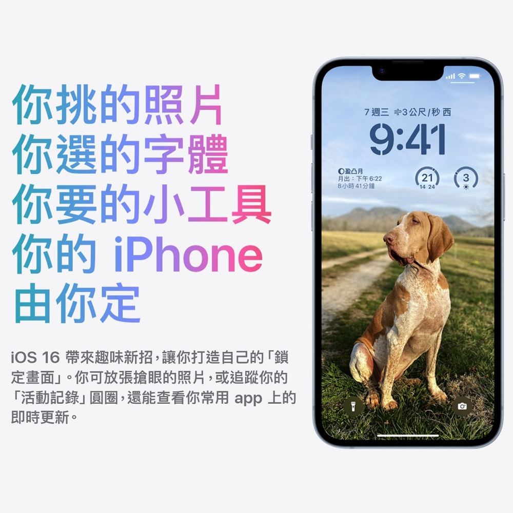 【Apple蘋果】iPhone 14 Plus 256G (6.7吋)