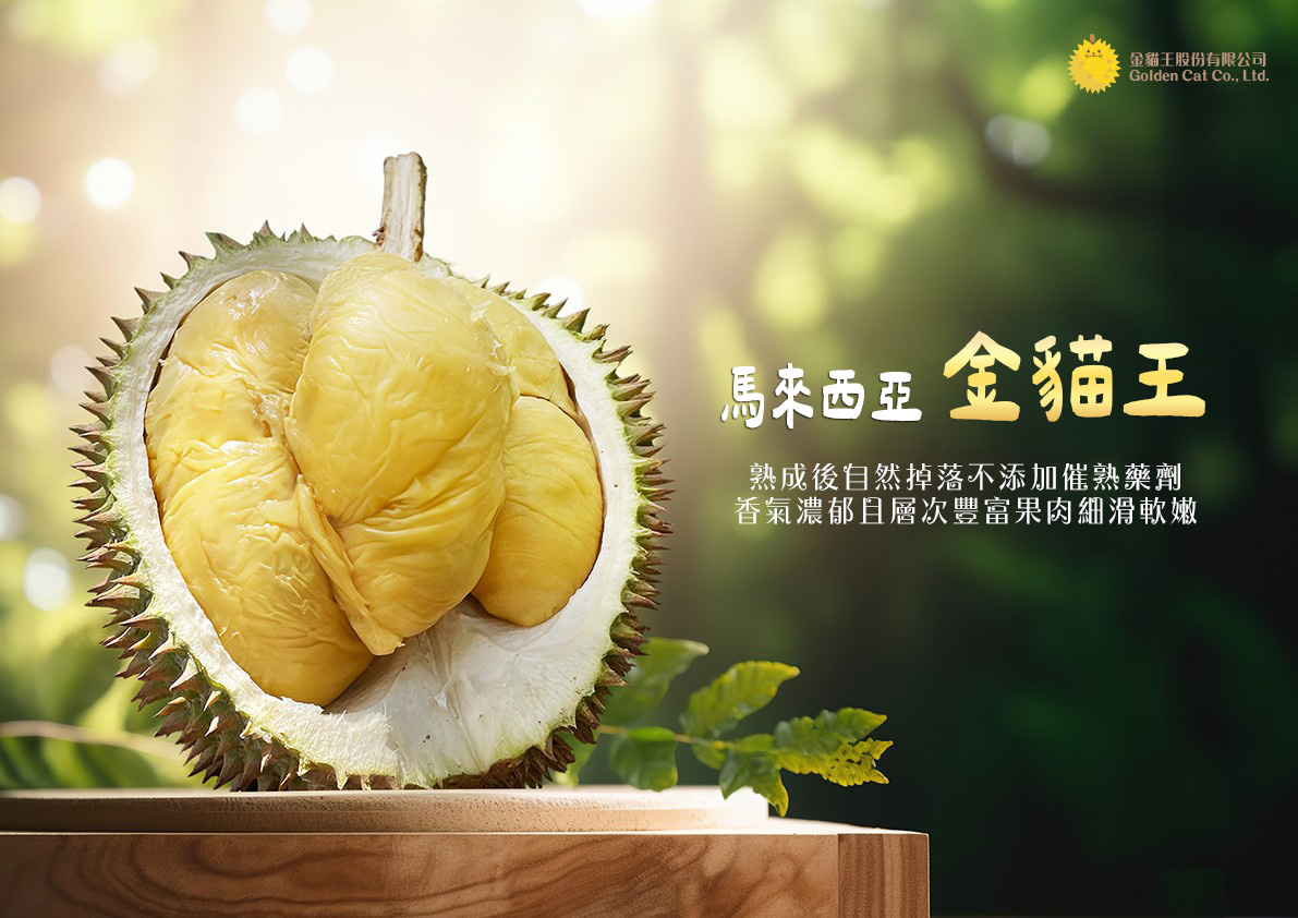 【馬來西亞】冷凍帶殼金貓王榴槤1A果1.6kg 冷凍榴槤 榴槤冰 榴槤肉 水果