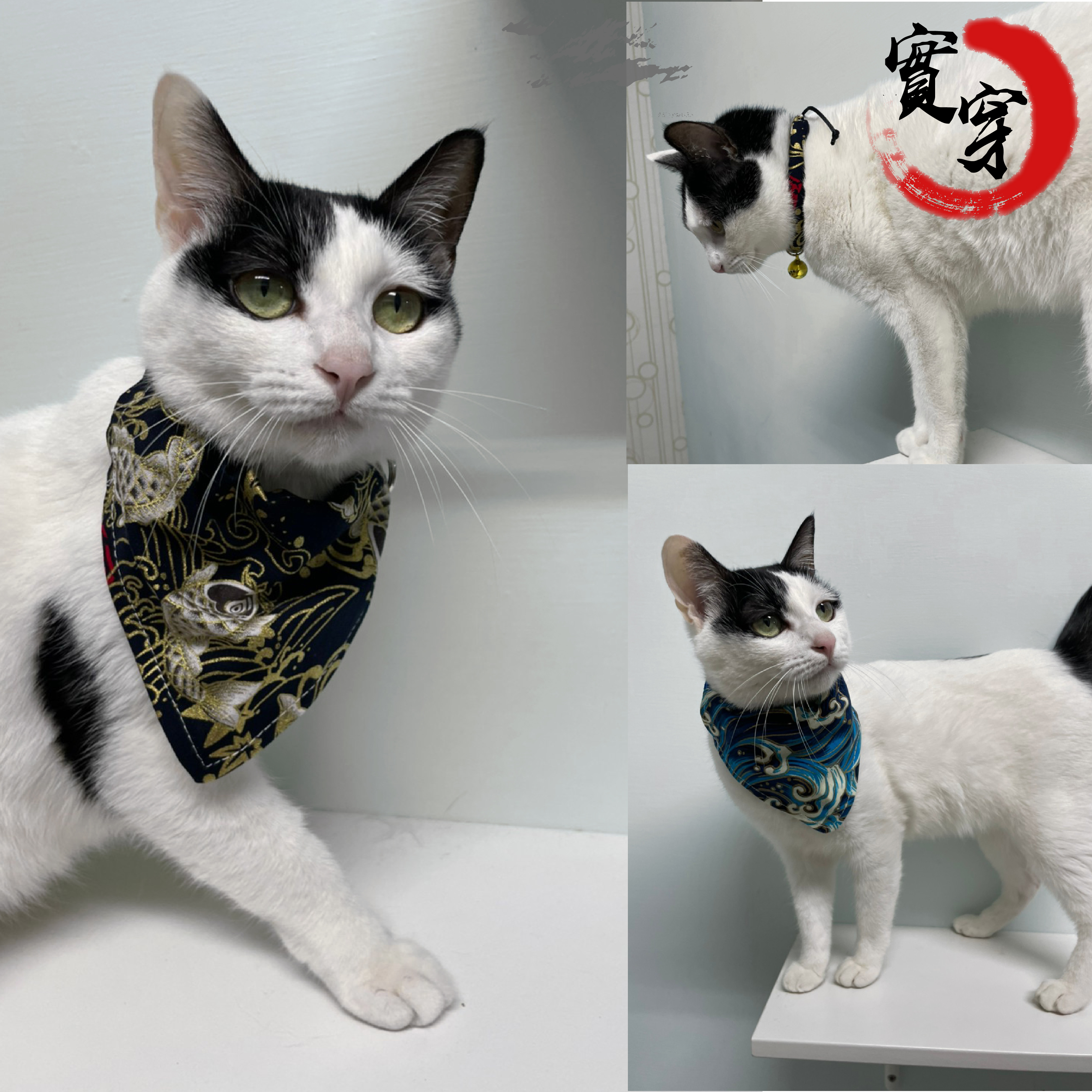犬貓用 日式和風寵物領巾/項圈 壓扣式 可調頸圍