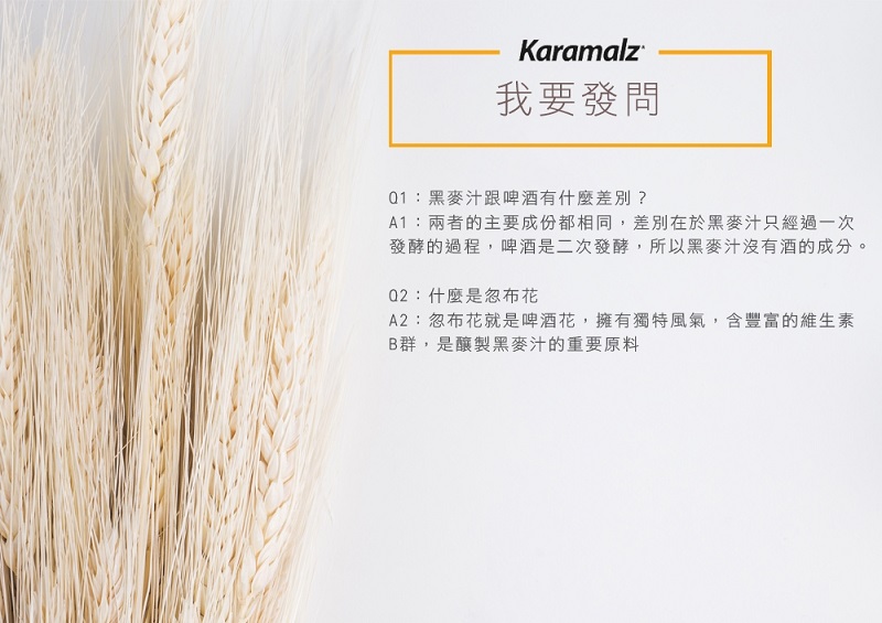 【Karamalz 卡麥隆】德國原裝進口黑麥汁330ml