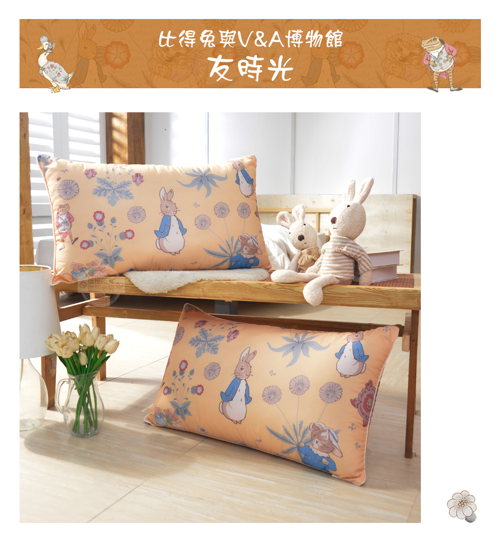 【PETER RABBIT】比得兔V&A博物館聯名抗菌枕 可水洗 台灣製造 枕頭