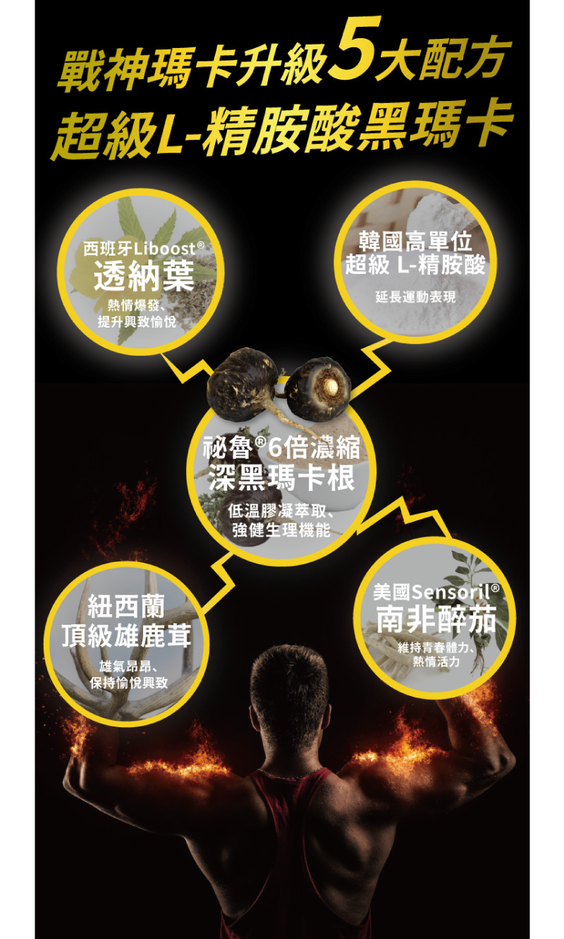 【達摩本草】L-精胺酸 祕魯戰神深黑瑪卡(30包/盒) 6倍濃縮專利瑪卡 補元氣