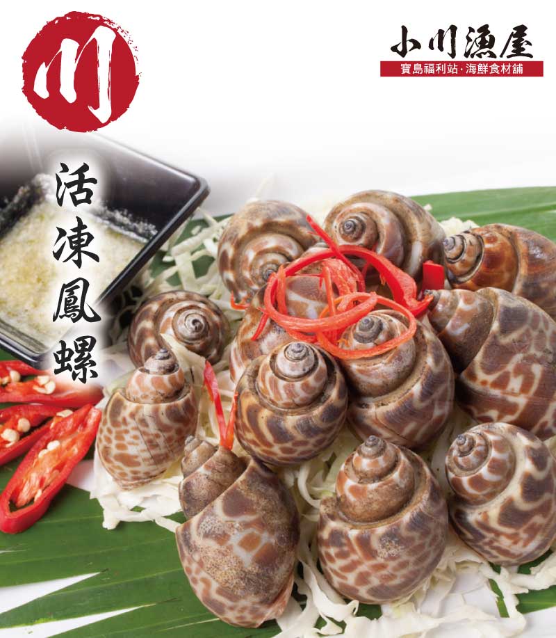 【小川漁屋】嚴選活凍鳳螺 (500g±10%/包)