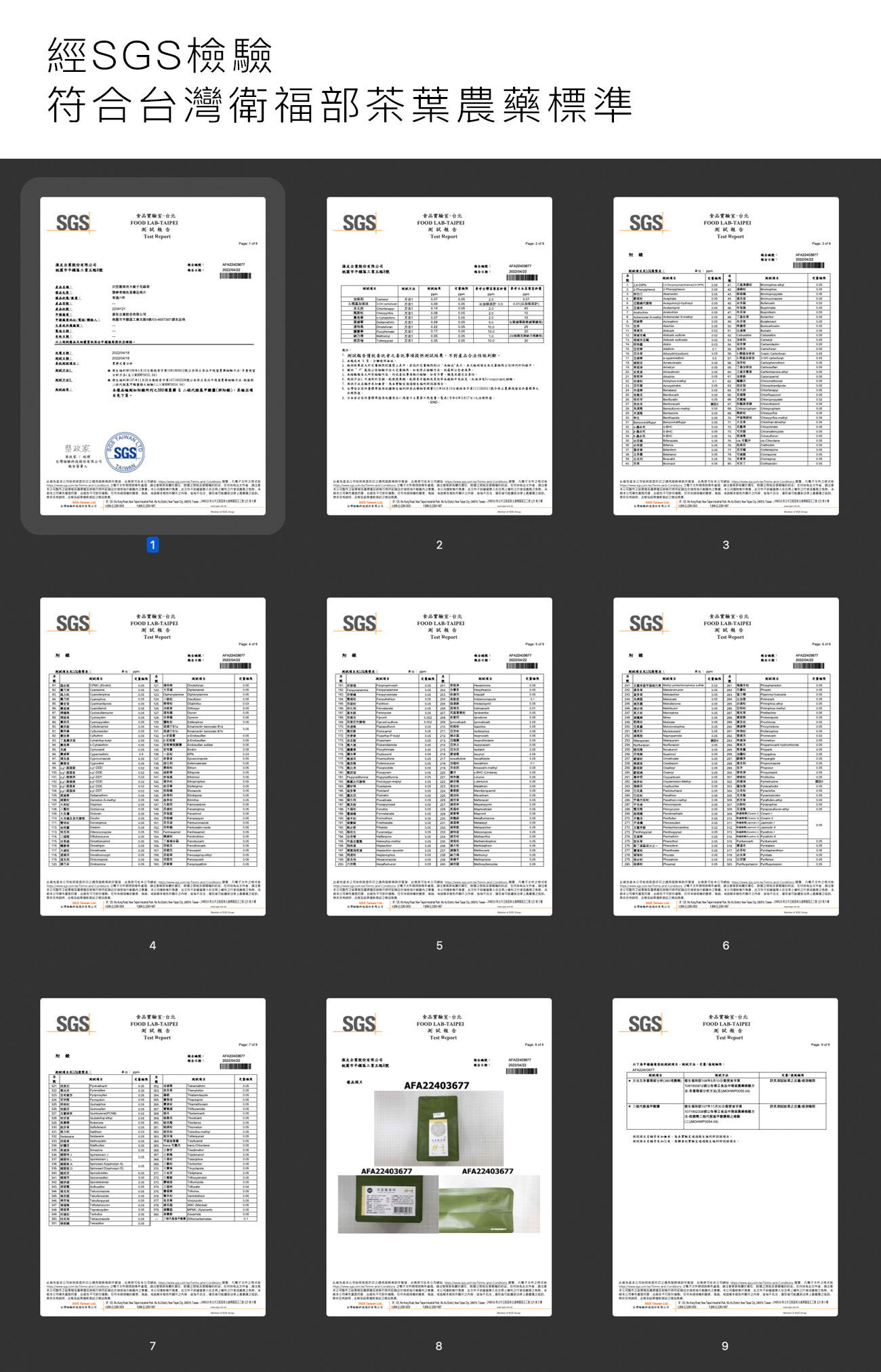 【Dripo】沢笠製茶所冷泡茶 大梔子花綠茶/紅蜜烏龍/玄米綠茶/不知春四季青