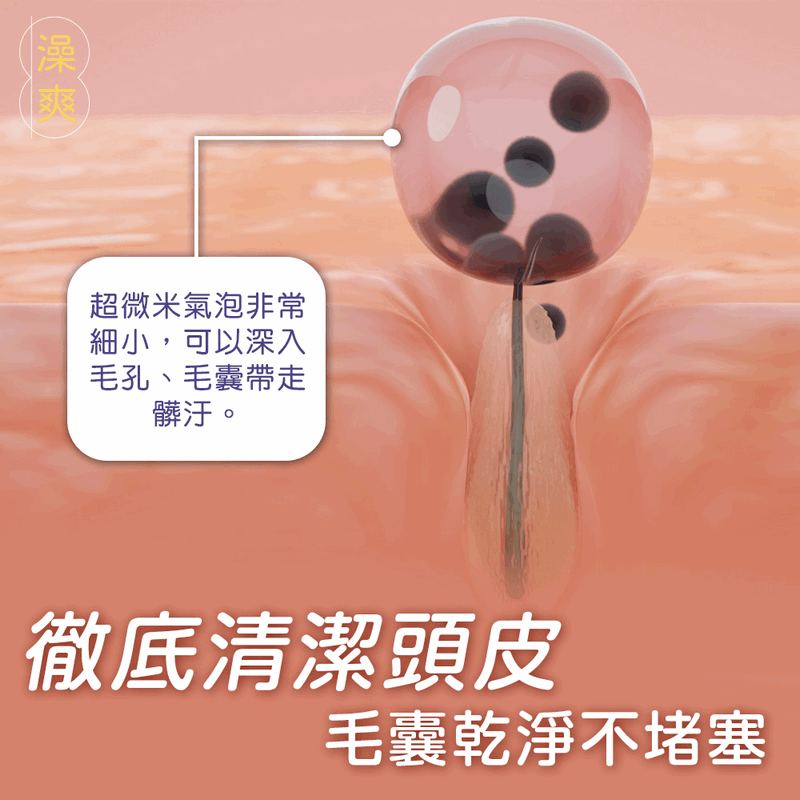 澡爽微米負離子美膚蓮蓬頭 含濾心5入