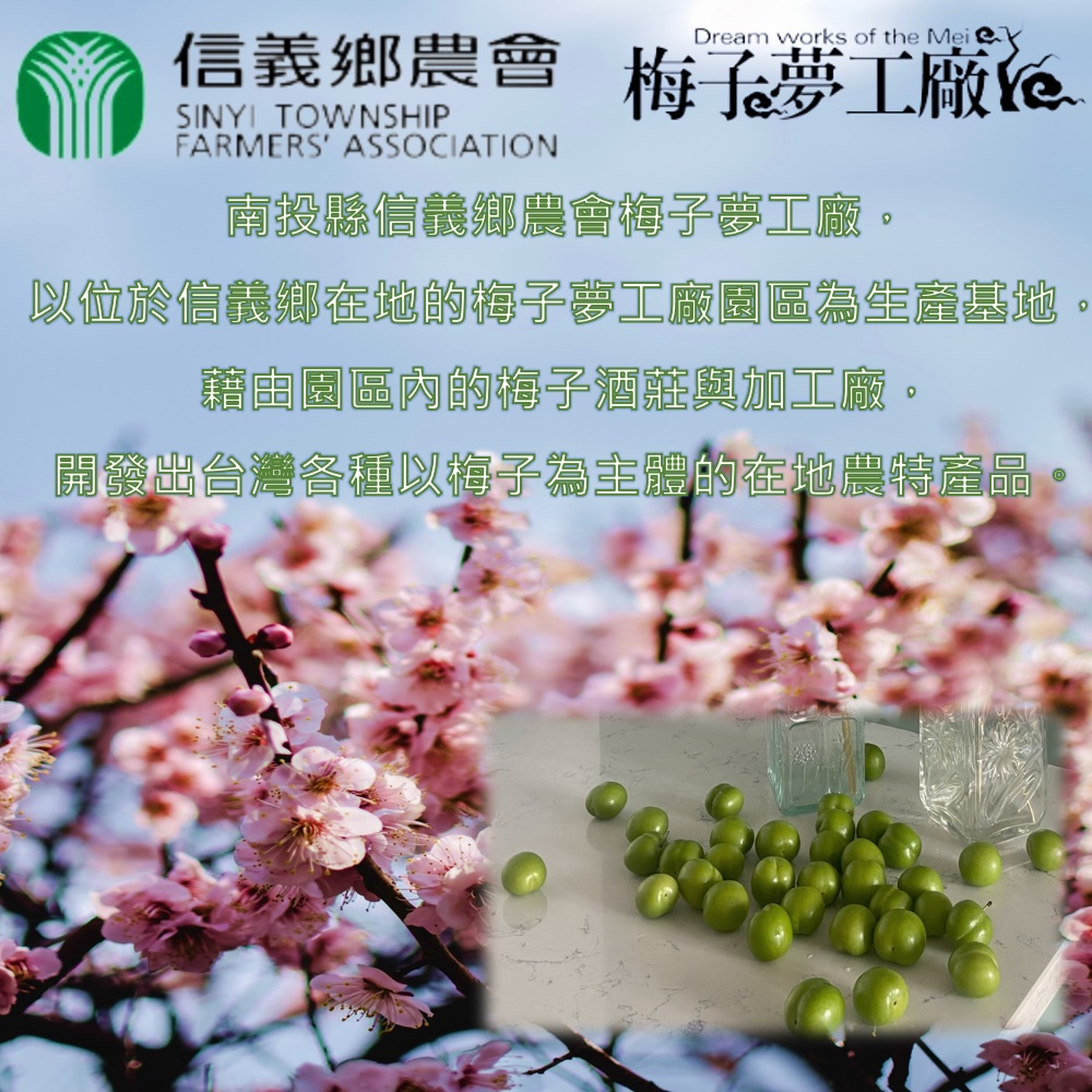 【信義鄉農會】梅子冰棒棒(10入/包) 天然台灣青梅製作