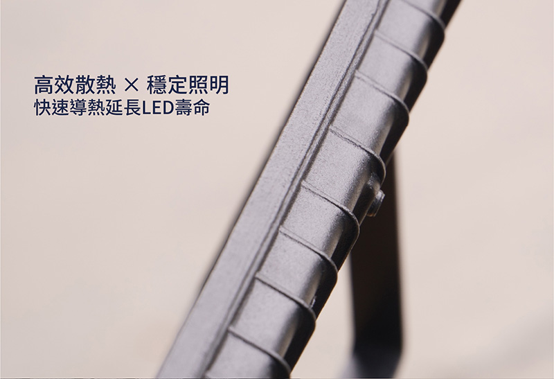 【太星電工】LED感應投射燈(全電壓) 30W-100W 感應燈 照明燈