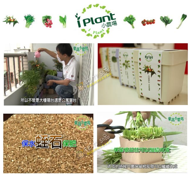       【iPlant】積木小農場_超值4入組(每盆內含種子培養土花器)