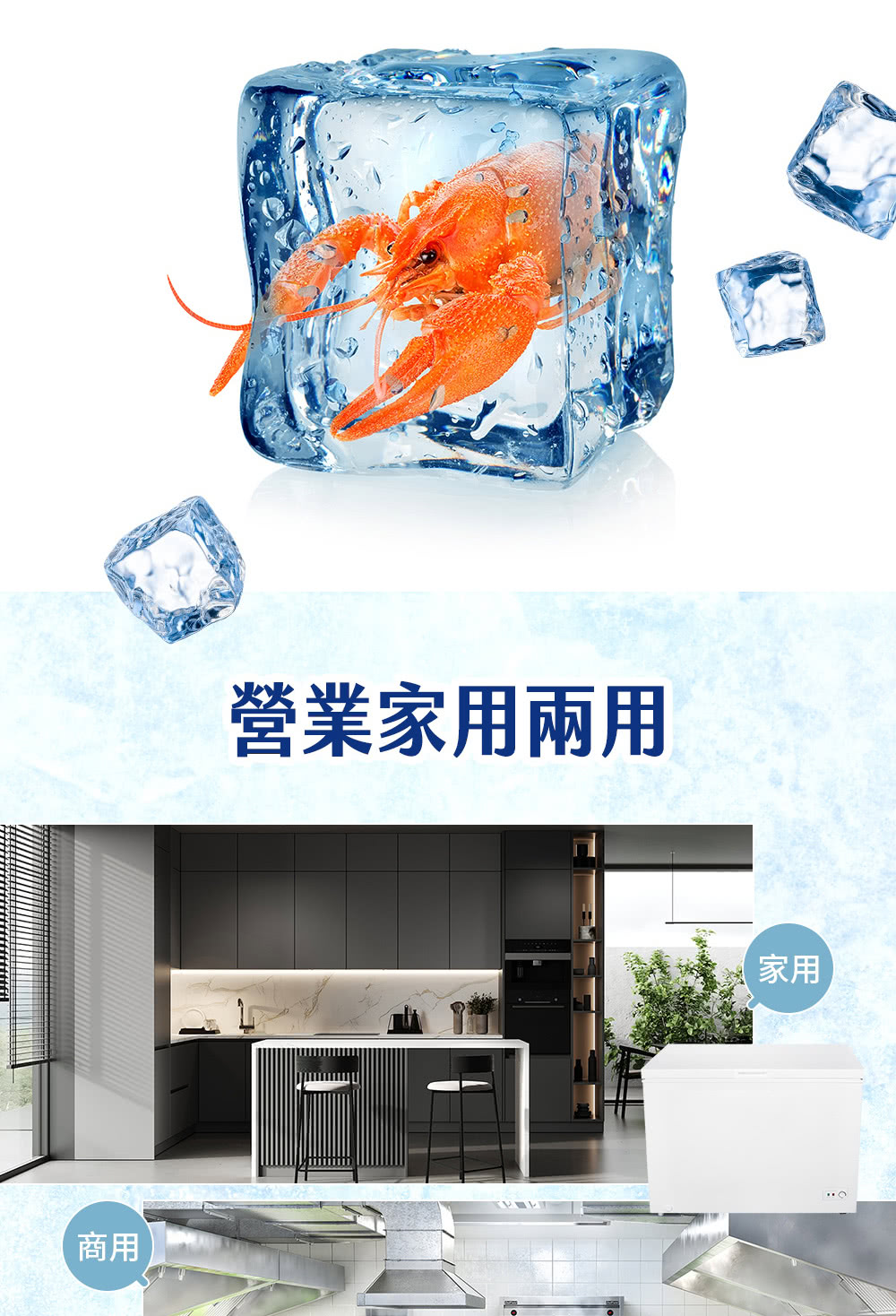 【TECO東元】300公升上掀式臥式冷凍櫃 含拆箱定位 RL3002W