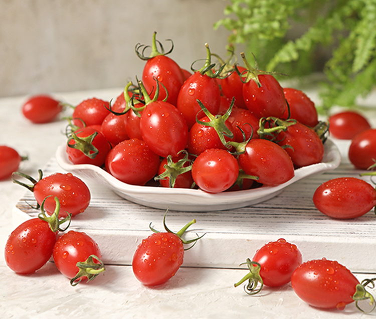【享吃鮮果】鮮採玉女小番茄