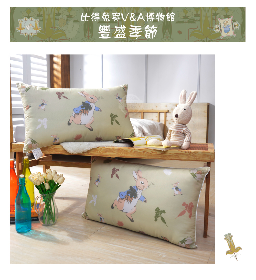 【PETER RABBIT】比得兔V&A博物館聯名抗菌枕 可水洗 台灣製造 枕頭