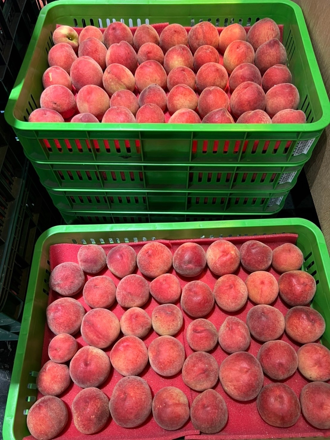 【歐吉商】摩天嶺熱帶水蜜桃禮盒10顆 2.2台斤