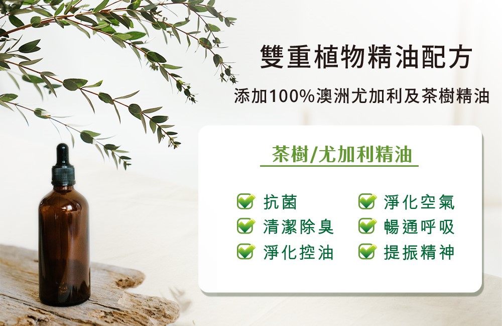 【Mr.Hsu 清潔大師】茶樹尤加利精油抗菌洗衣精(2500ml/瓶)