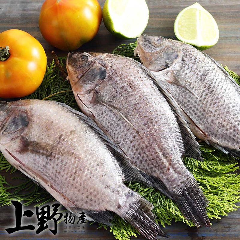       【上野物產】嚴選台灣鯛魚 x24隻(海鮮 鯛魚)