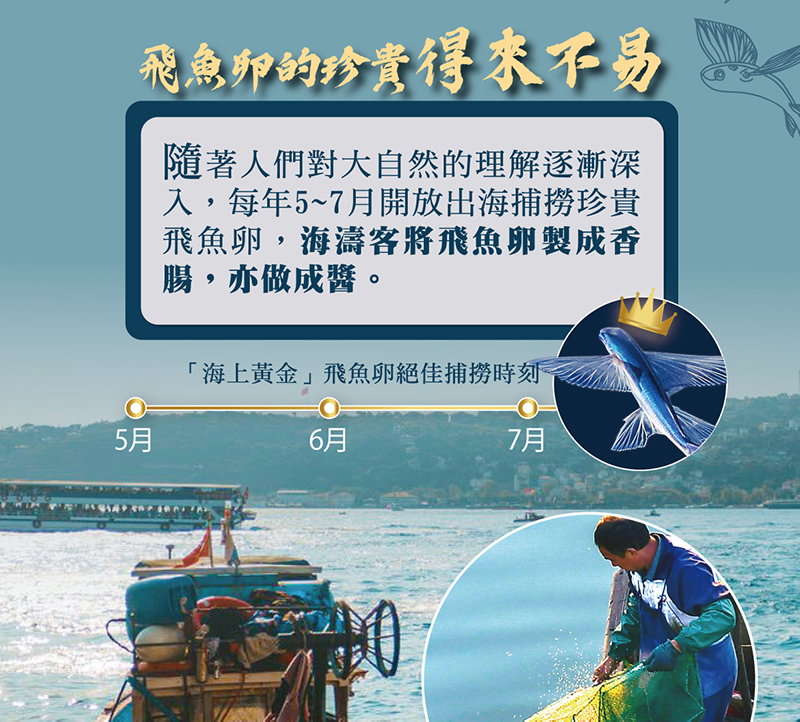 【海濤客】小琉球必買伴手禮 頂級飛魚卵XO醬