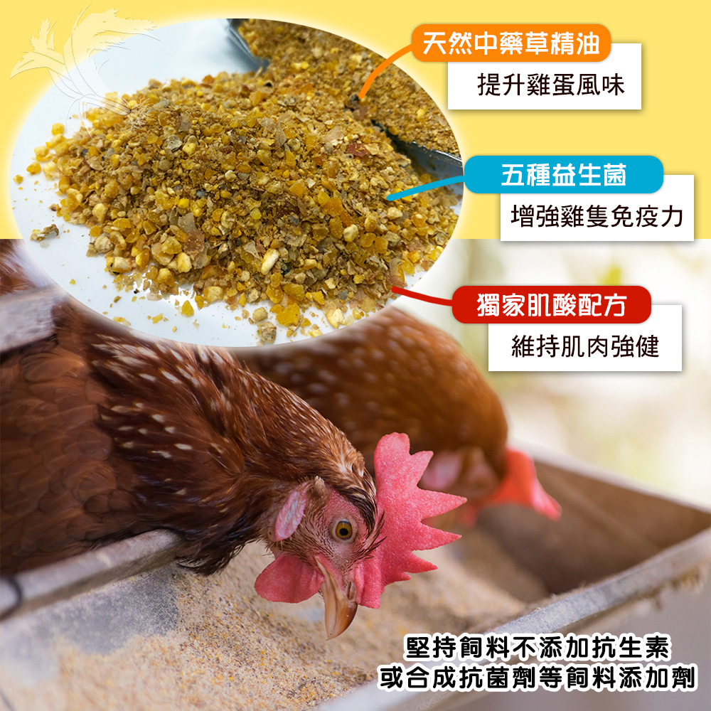 【鈞安牧場】專利配方鎂力機能蛋 土雞蛋(24顆/箱) 雞蛋 生雞蛋 蛋 無抗生素