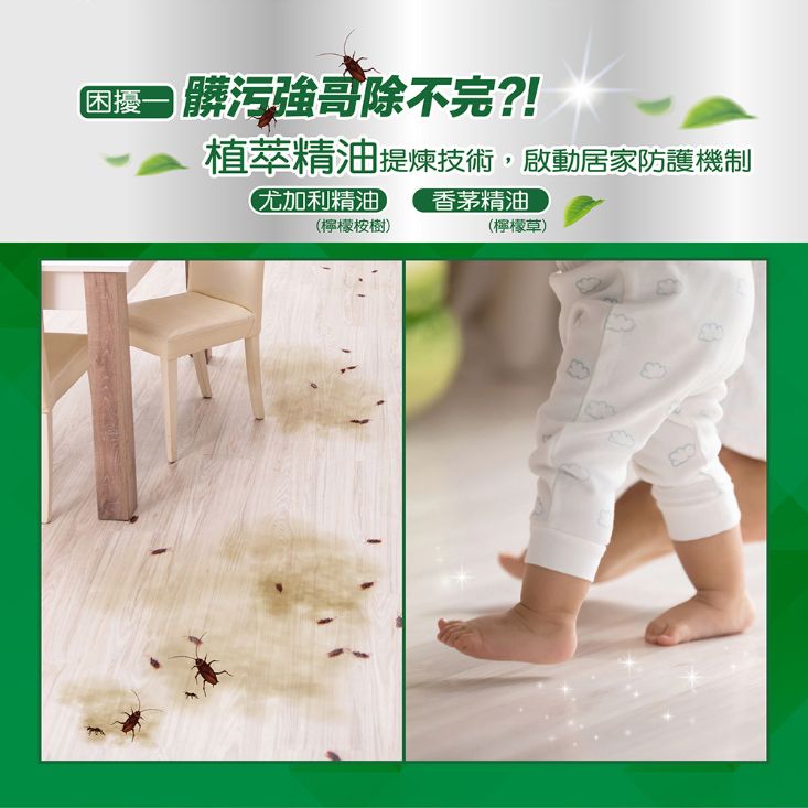 【妙管家】瞬潔地板清潔劑(草本森林浴)(1800gx6入/箱) 99.9%除菌