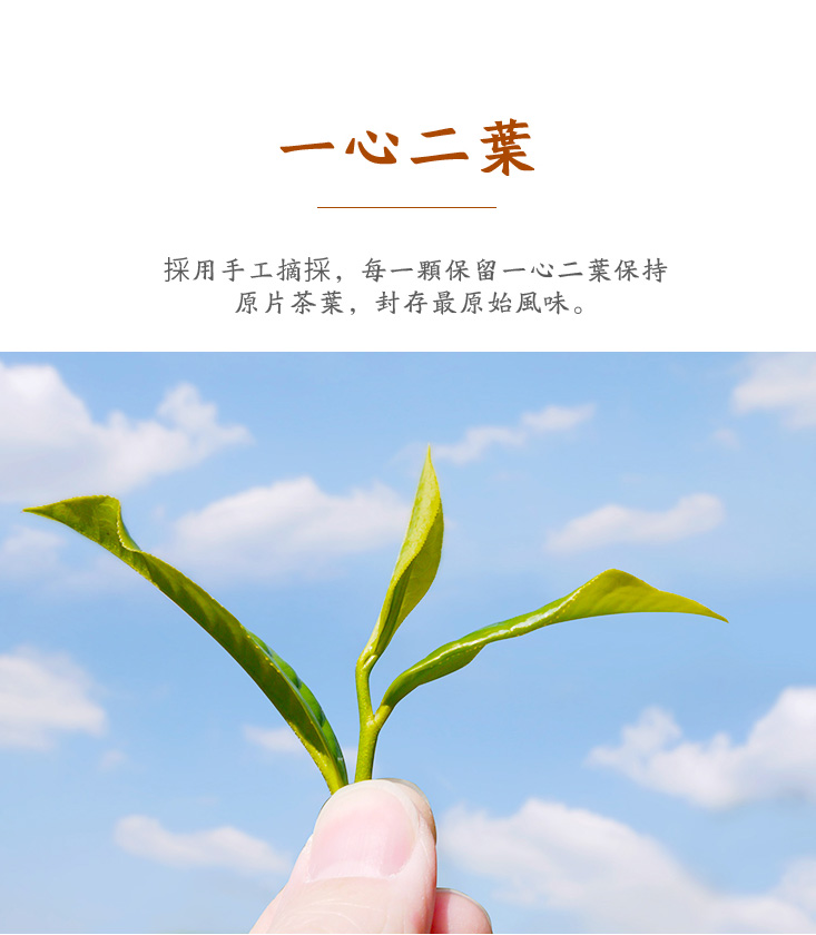 【一等鮮】友創日月潭100%紅玉紅茶立體茶包2盒(2.5gx15入/盒)