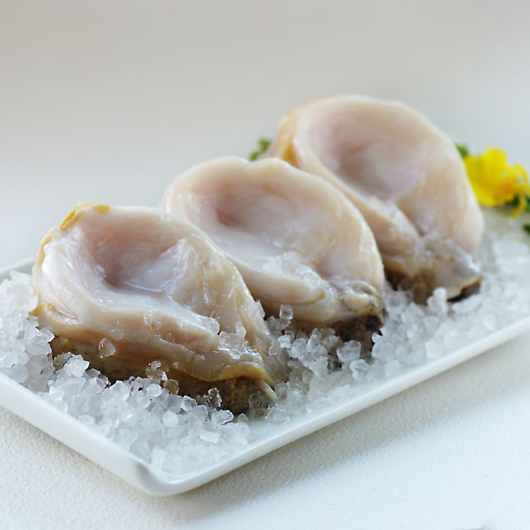 【海之醇】智利活凍鮑魚 250-300g/3顆/包