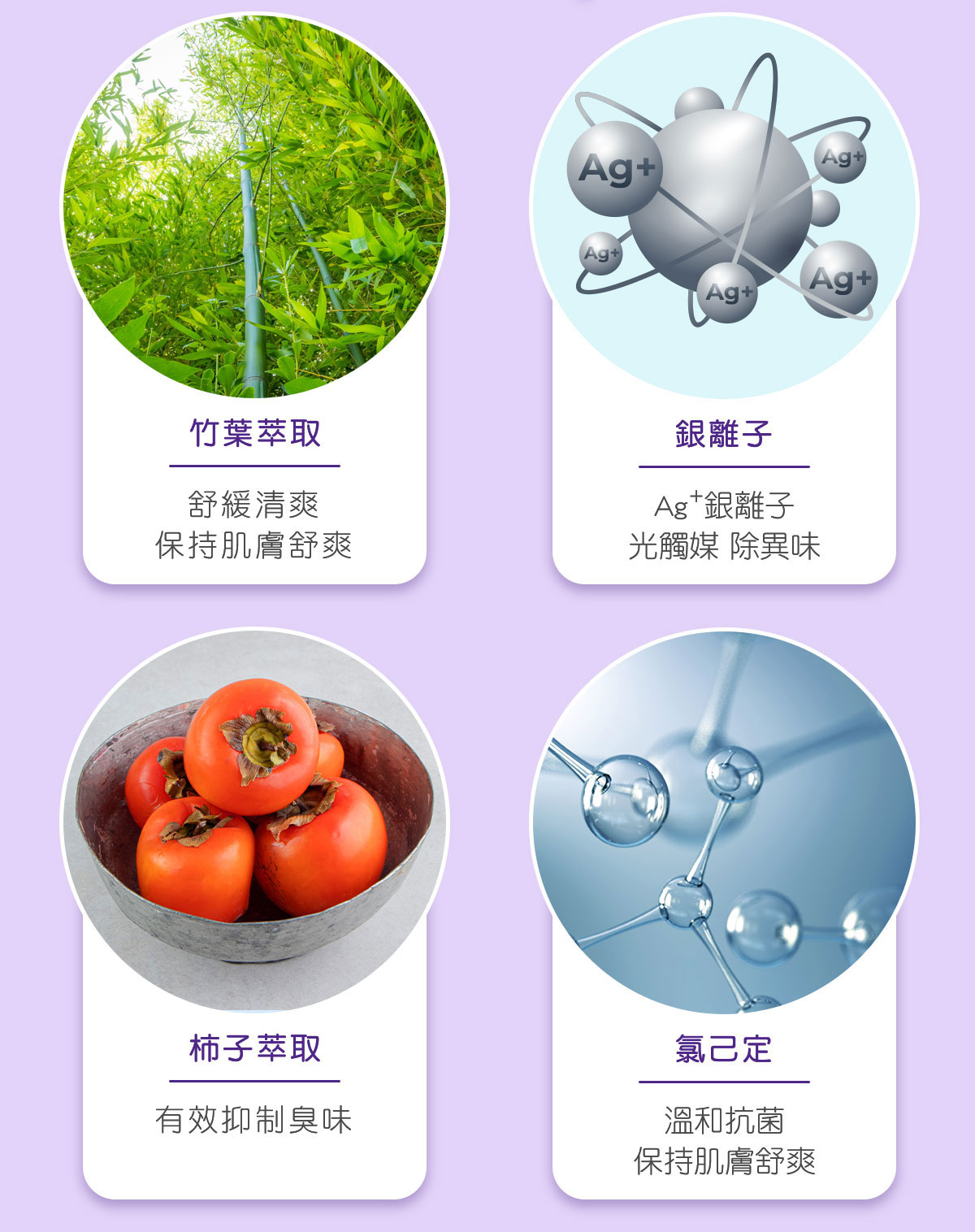 【拭拭樂】康舒復全齡超大潔膚巾 60抽x12包 濕紙巾 特大超厚濕巾