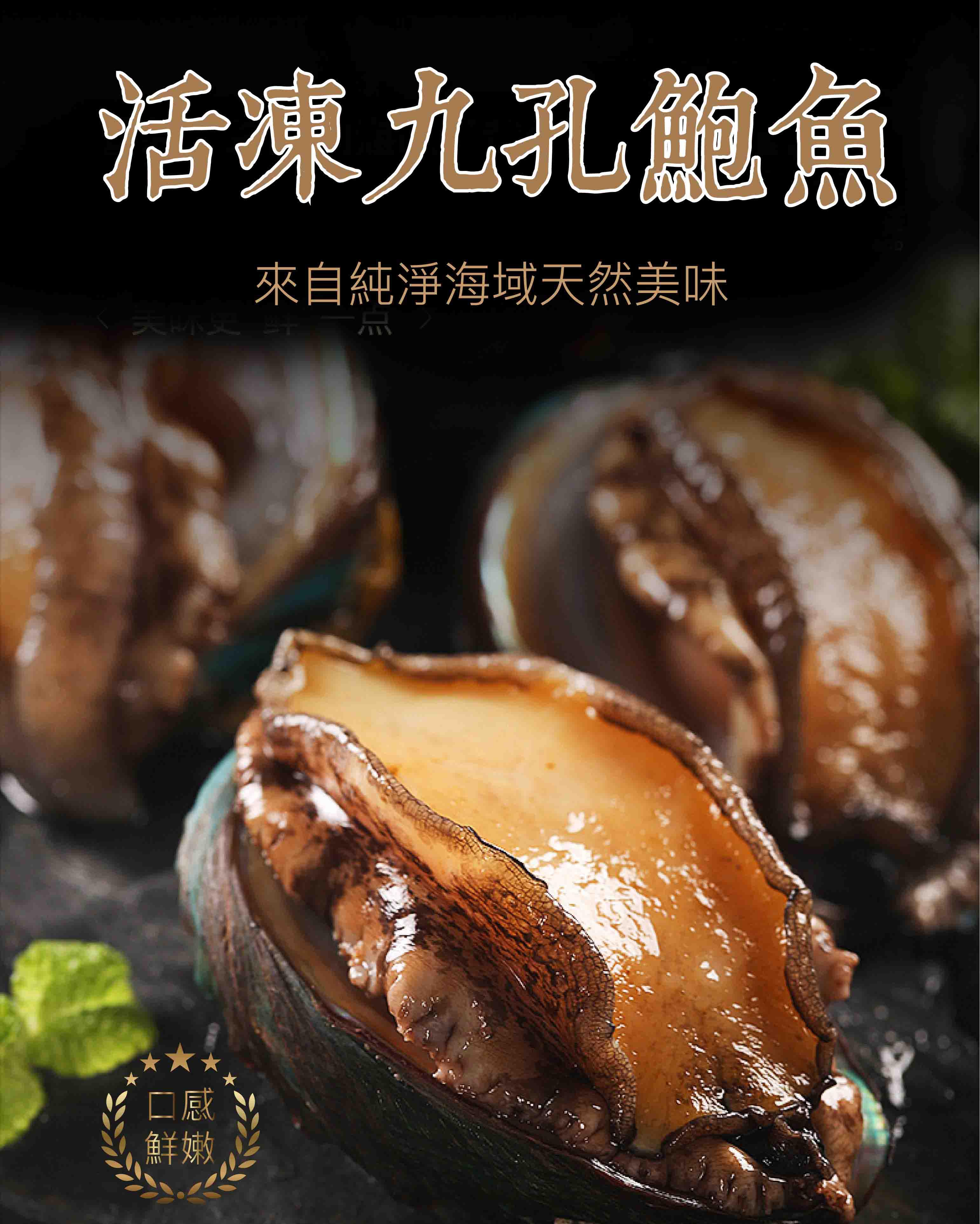 【祥鈺水產】活凍九孔鮑魚XL等級  每包20顆